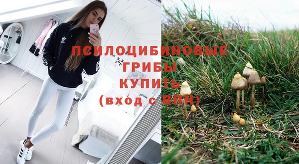 винт Алзамай