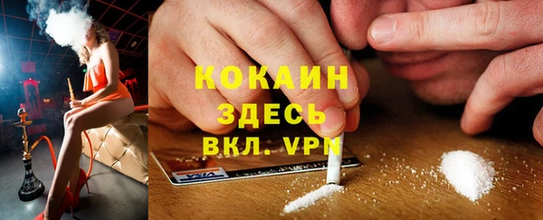 винт Алзамай