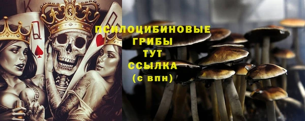 винт Алзамай