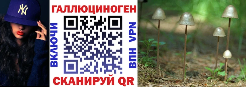 даркнет сайт  Ржев  Галлюциногенные грибы мицелий 